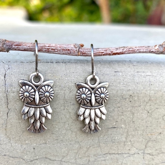 Sundance Jewelry - Sundance owl earrings silver stainless steel dangle drops UO metal bird girls